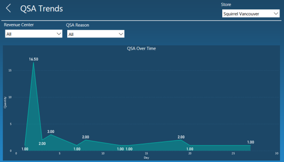 QSA Report